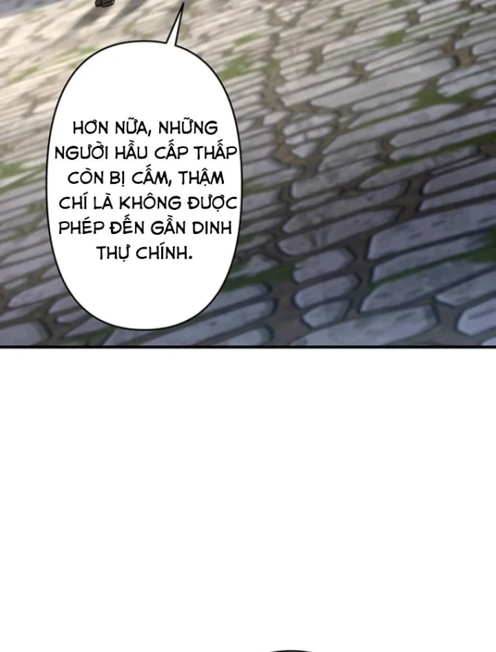 Ma Kiếm Sĩ Hồi Sinh Và Huyết Thống Tối Thượng Chapter 7 - 14