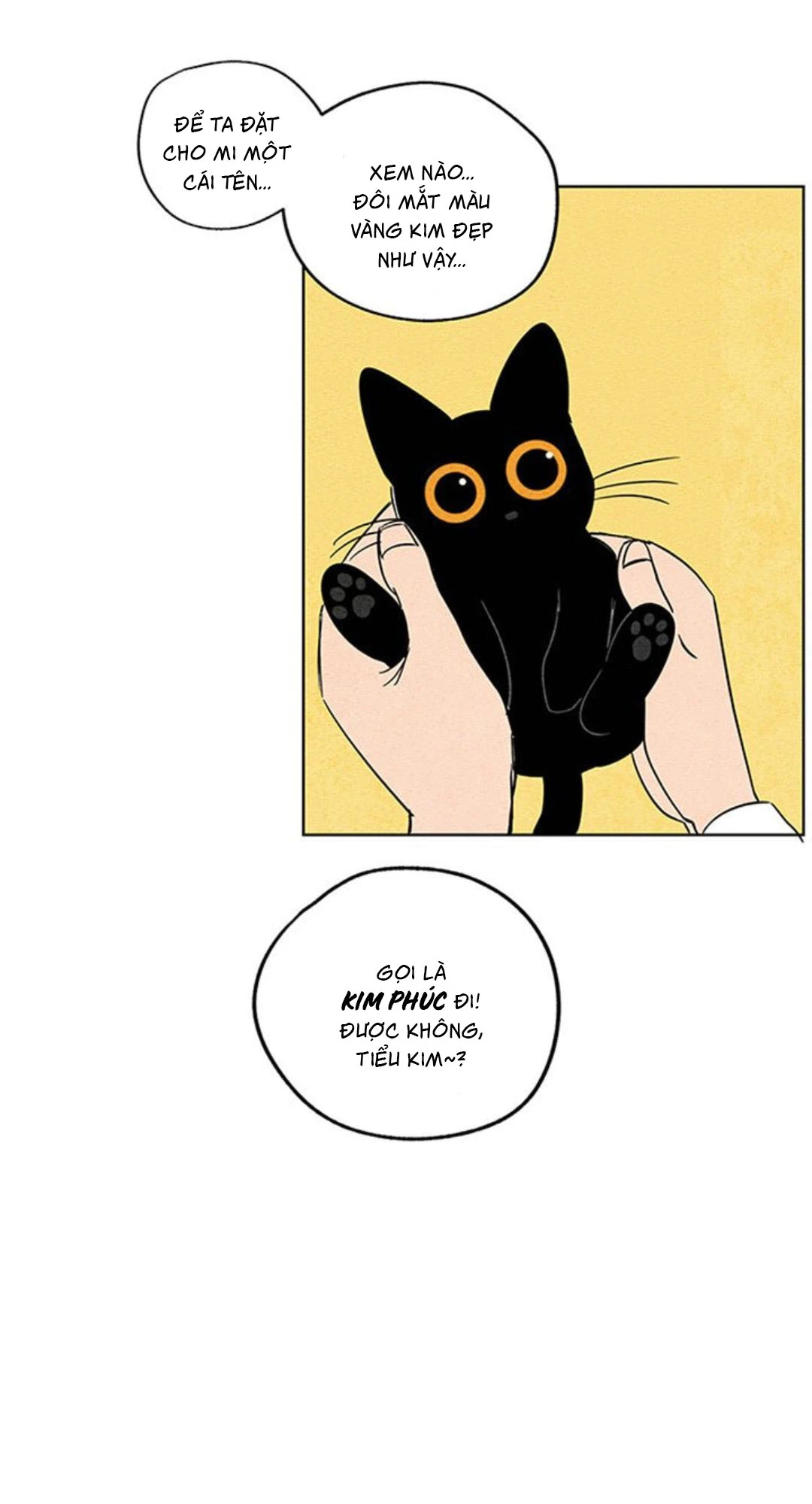 The Tale of Goldiluck, the Black Kitten Chapter 1 - 17