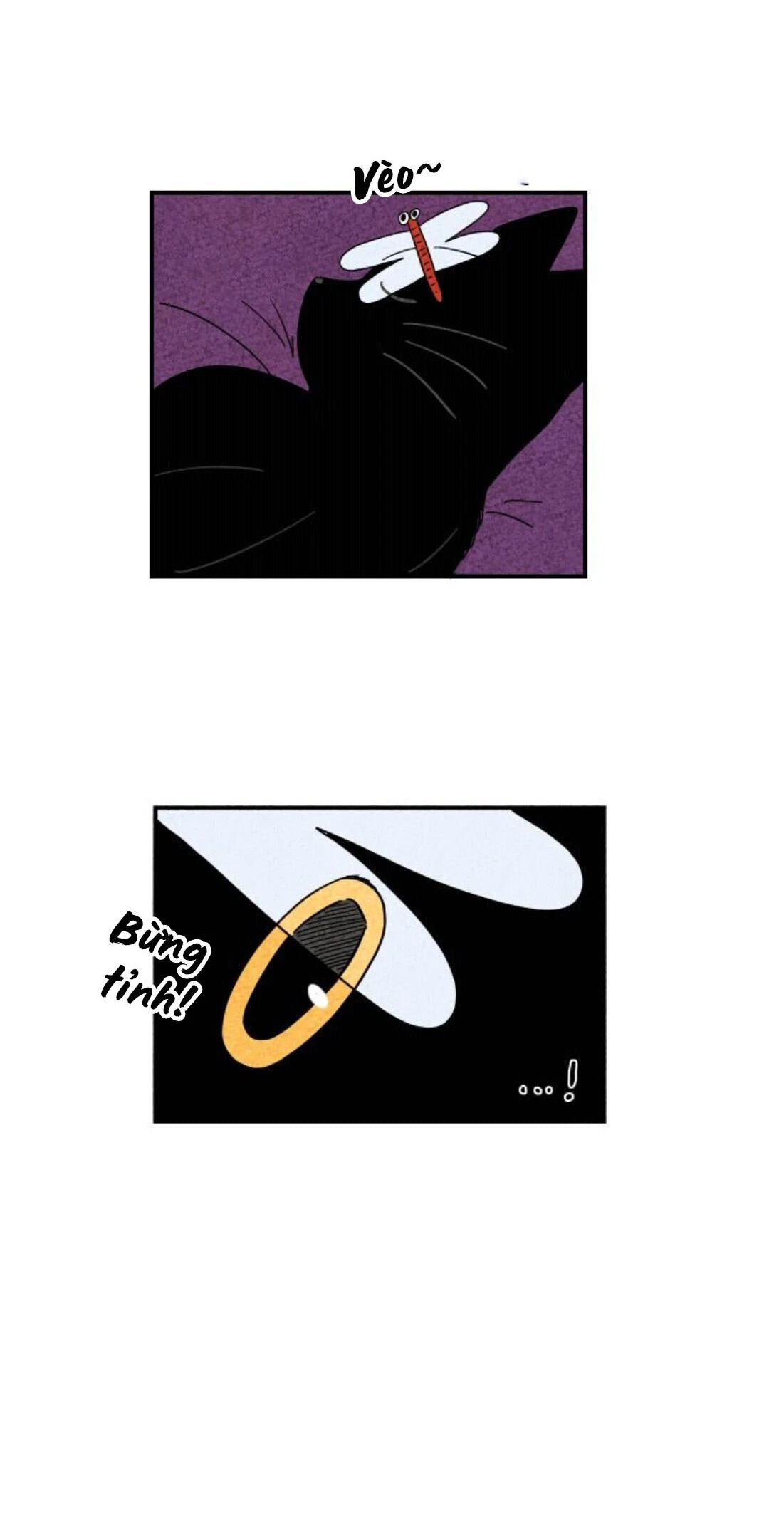 The Tale of Goldiluck, the Black Kitten Chapter 8 - 23