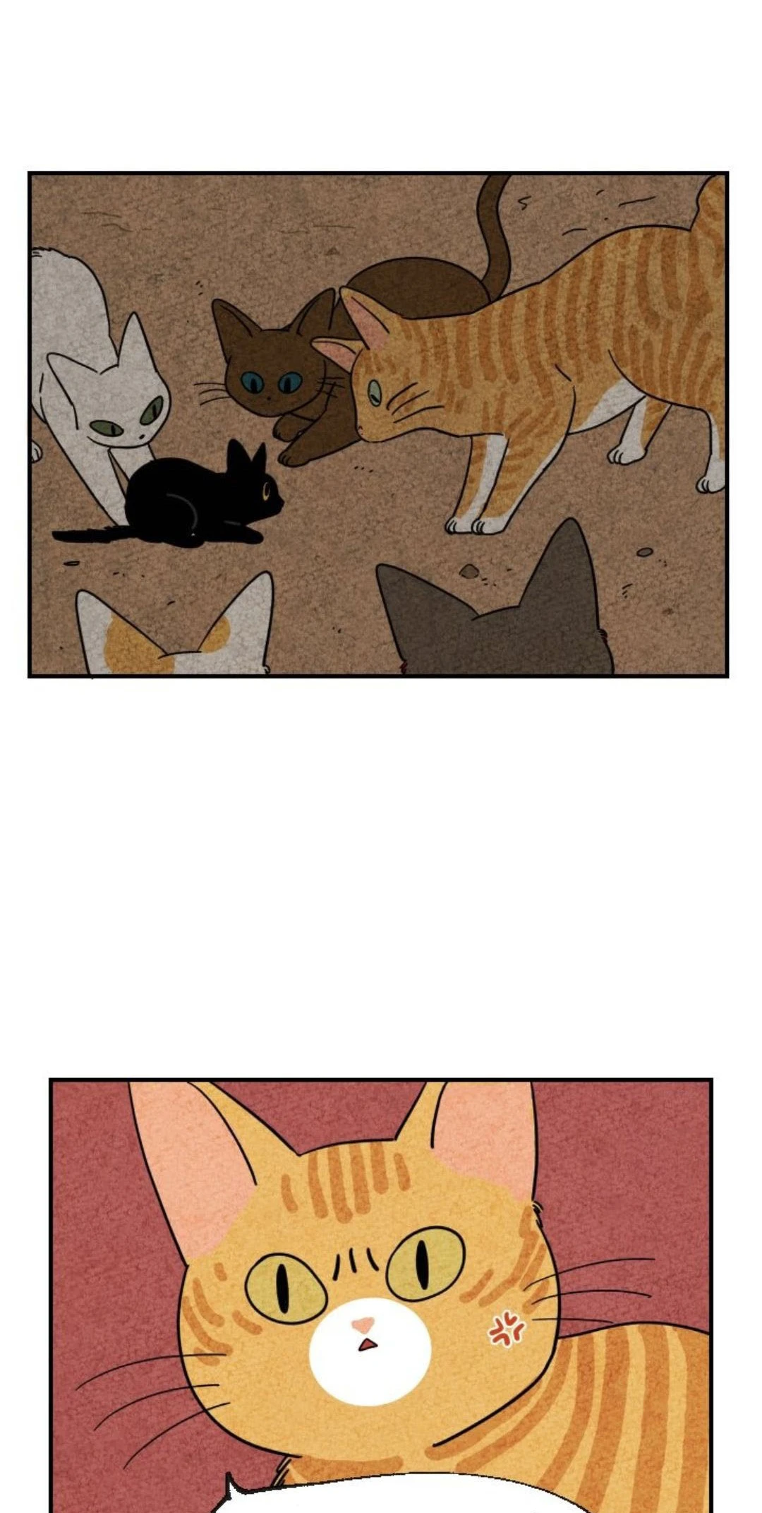 The Tale of Goldiluck, the Black Kitten Chapter 9 - 32