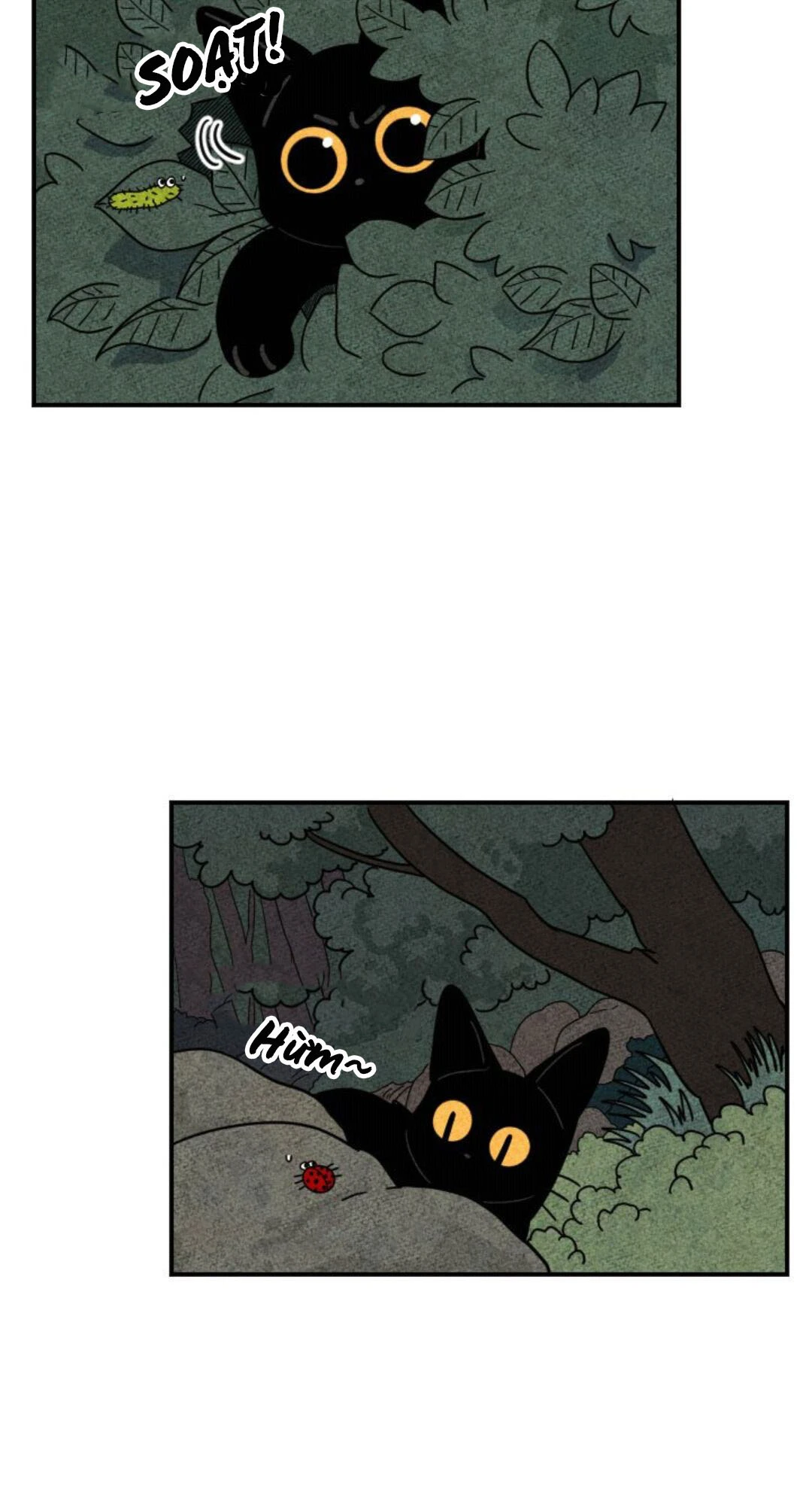 The Tale of Goldiluck, the Black Kitten Chapter 11 - 2