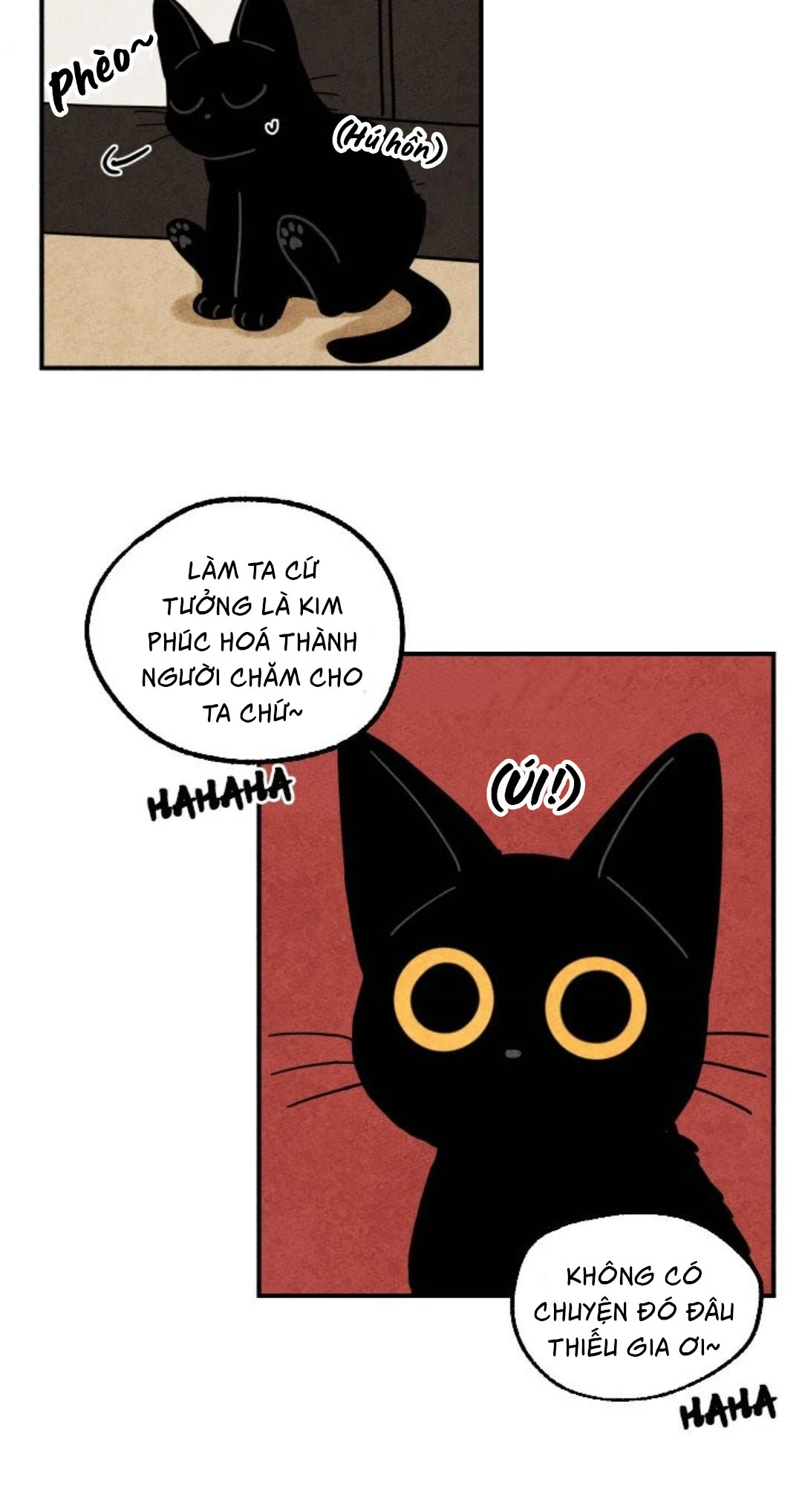The Tale of Goldiluck, the Black Kitten Chapter 12 - 28