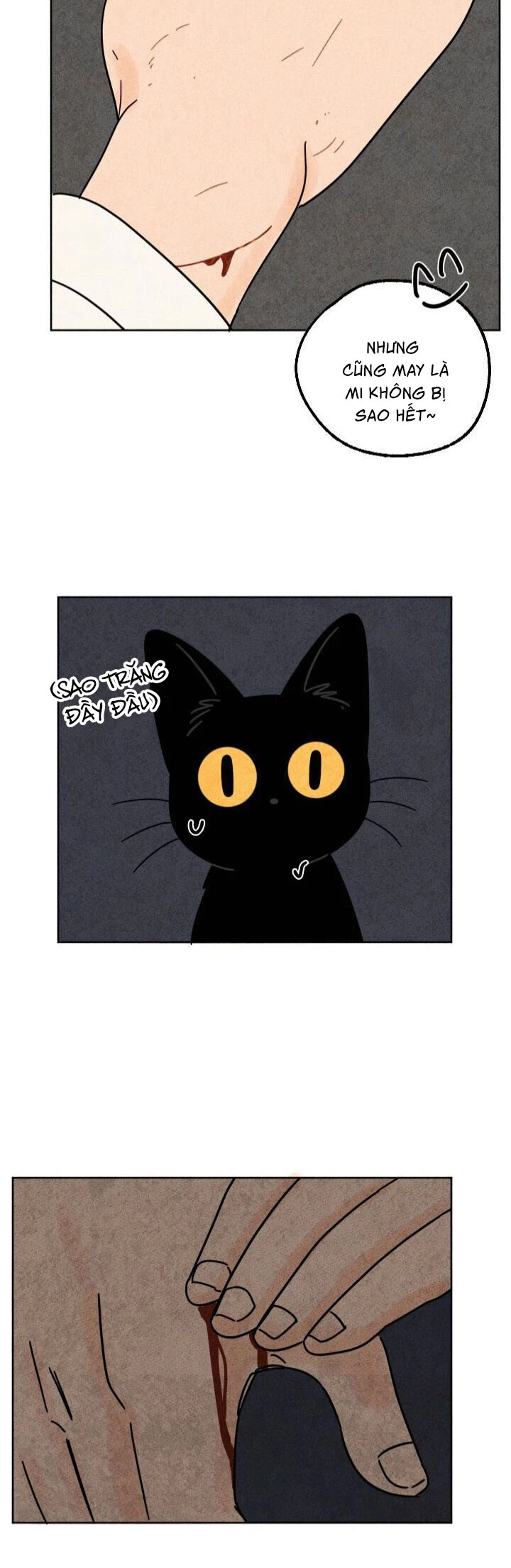 The Tale of Goldiluck, the Black Kitten Chapter 23 - 27