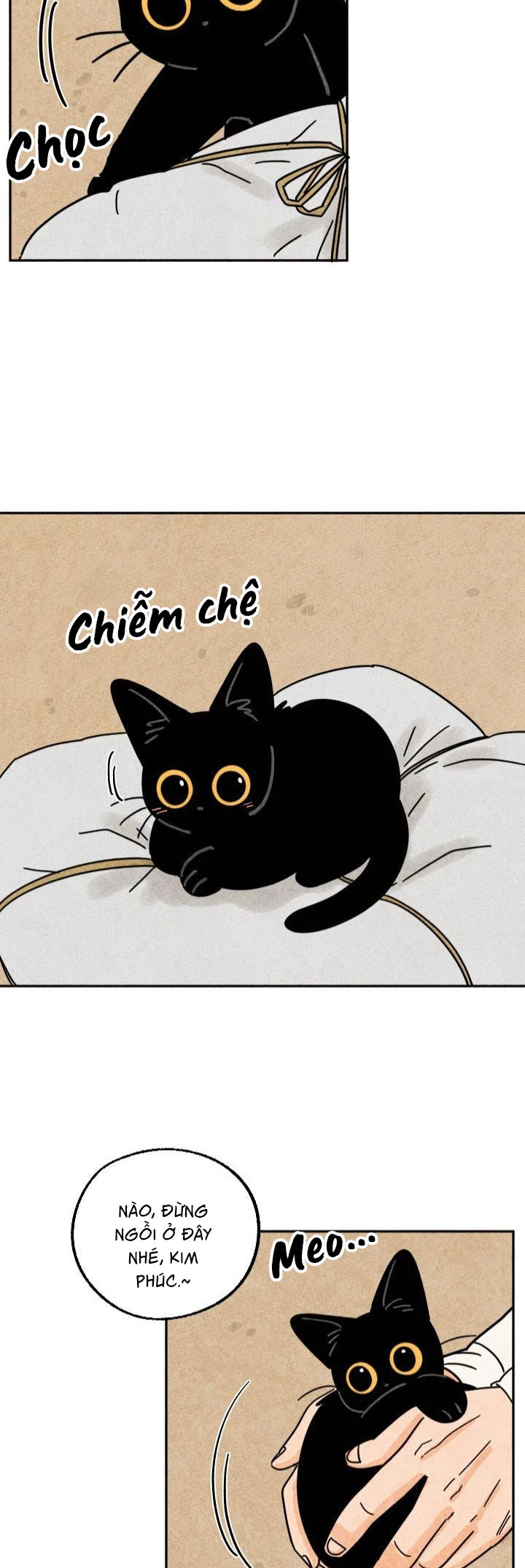 The Tale of Goldiluck, the Black Kitten Chapter 25 - 25