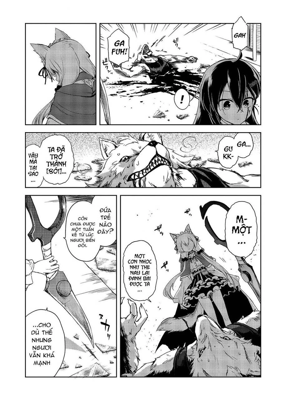 Con Sói Biết Yêu Và Mille-Feuille Chapter 1 - 20