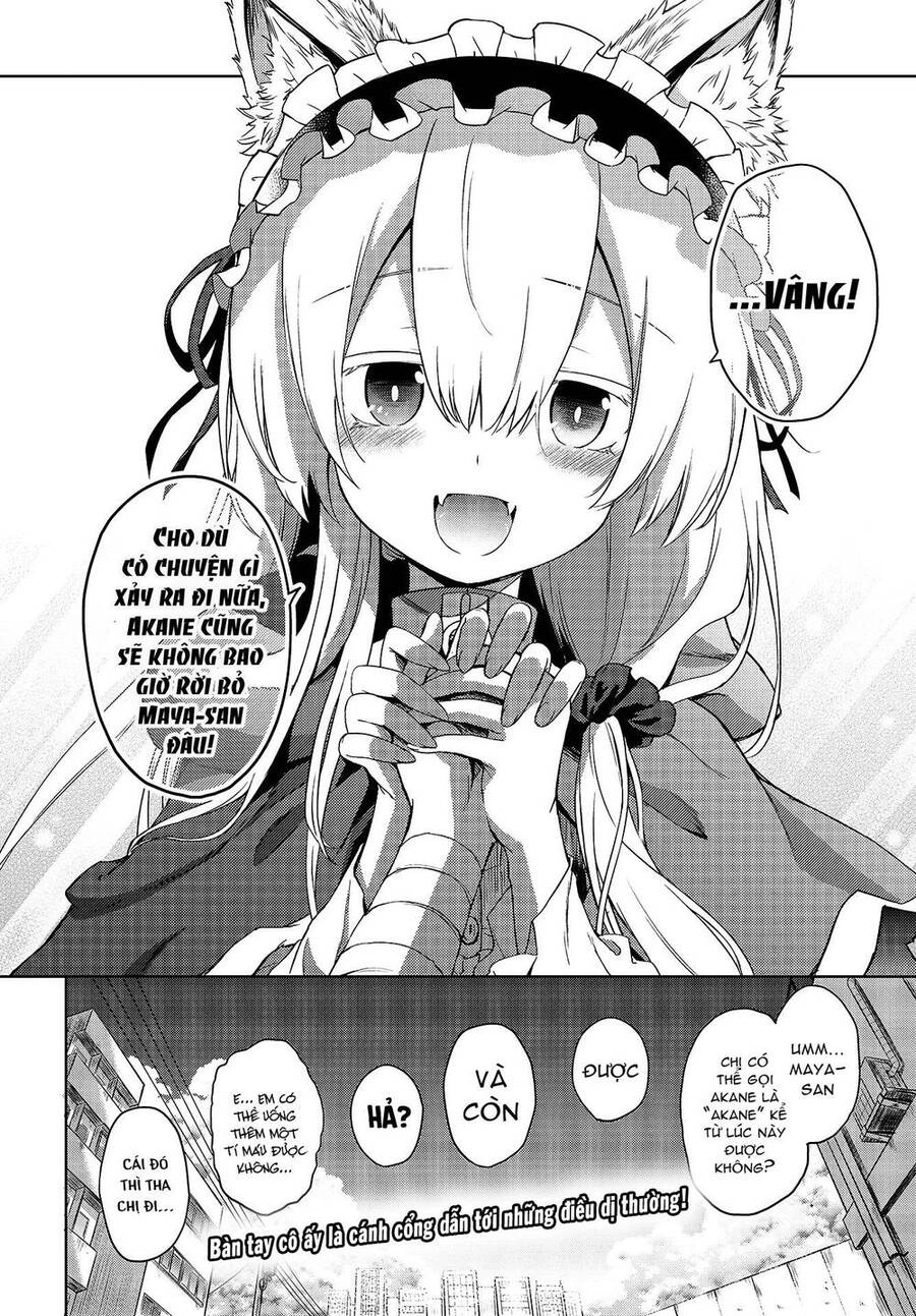 Con Sói Biết Yêu Và Mille-Feuille Chapter 1 - 52