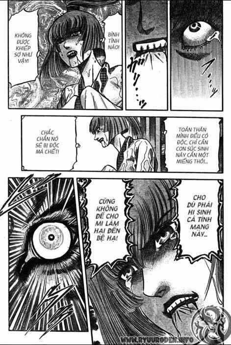 Ryuuroden - Chú Bé Rồng Chapter 198 - 4