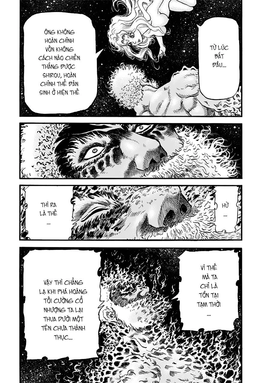 Ryuuroden - Chú Bé Rồng Chapter 288 - 19