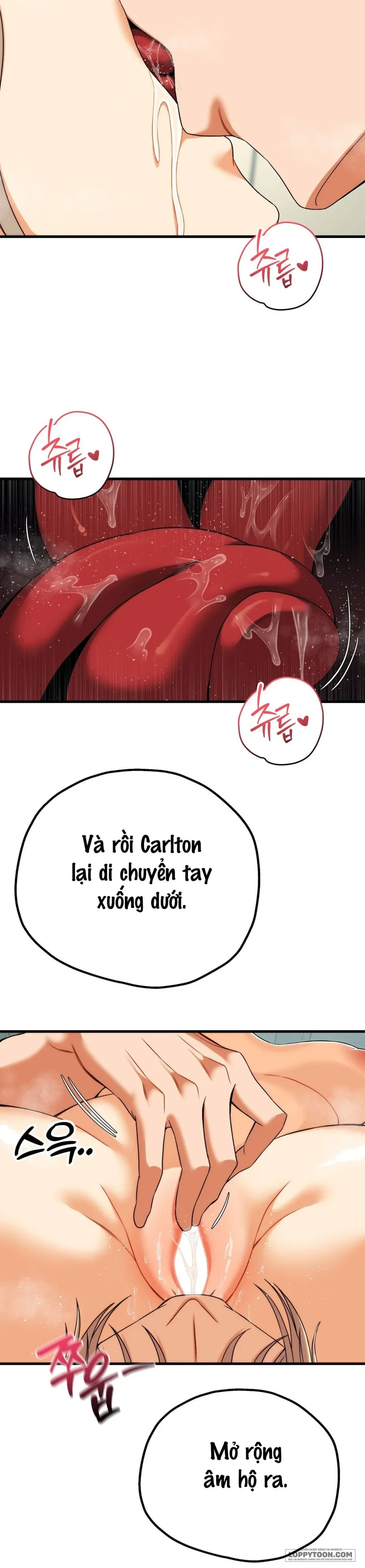 Câu Lạc Bộ Đọc Sách Người Lớn Chapter 12 - 16
