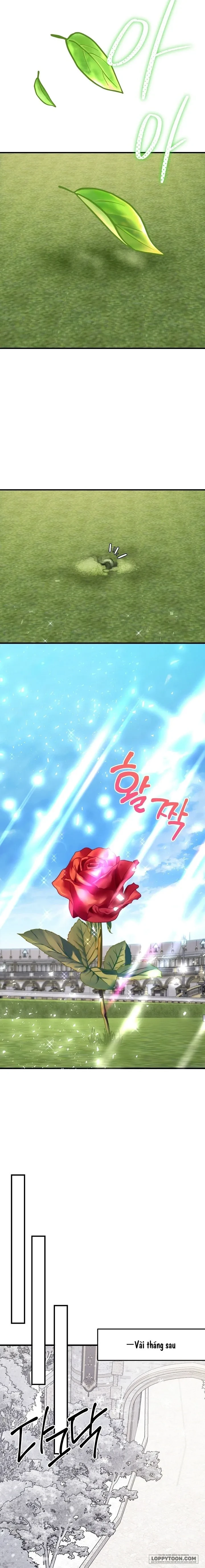 Cái Nôi Của Kẻ Thù Chapter 29 - 12