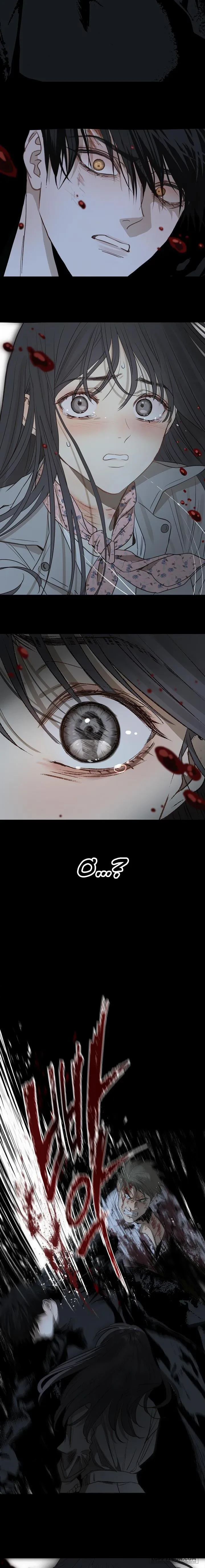 Đóa Hoa Là Mồi Nhử Chapter 1 - 15