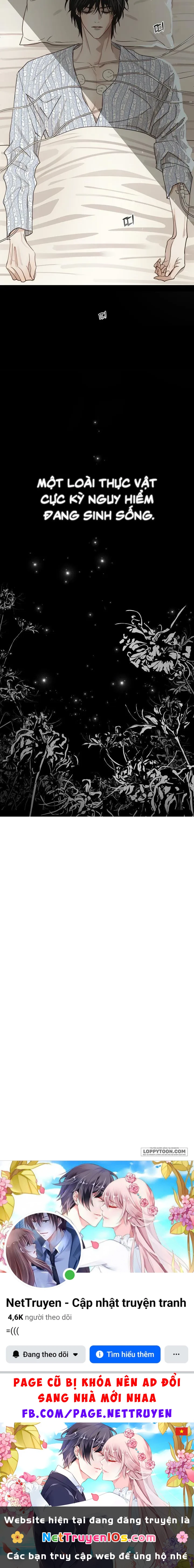 Đóa Hoa Là Mồi Nhử Chapter 1 - 29
