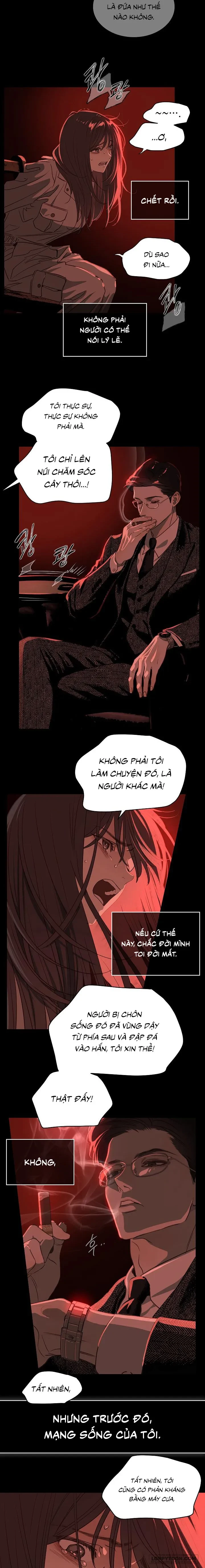 Đóa Hoa Là Mồi Nhử Chapter 2 - 8