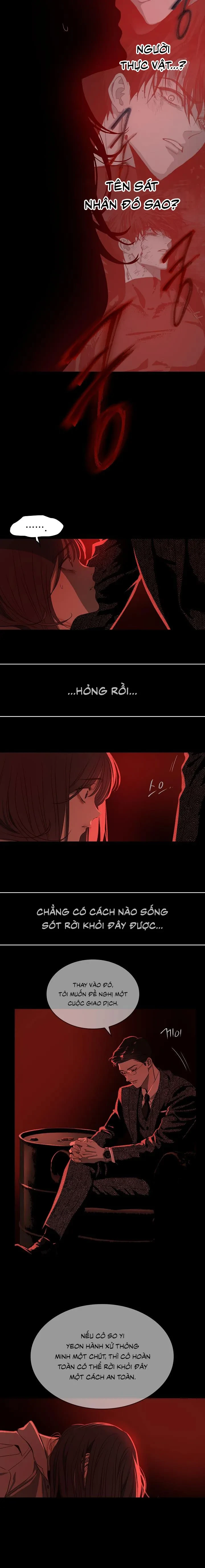 Đóa Hoa Là Mồi Nhử Chapter 2 - 11