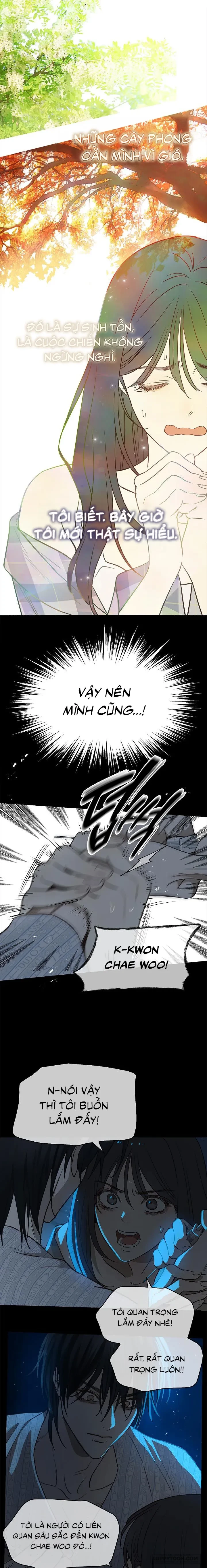 Đóa Hoa Là Mồi Nhử Chapter 4 - 2