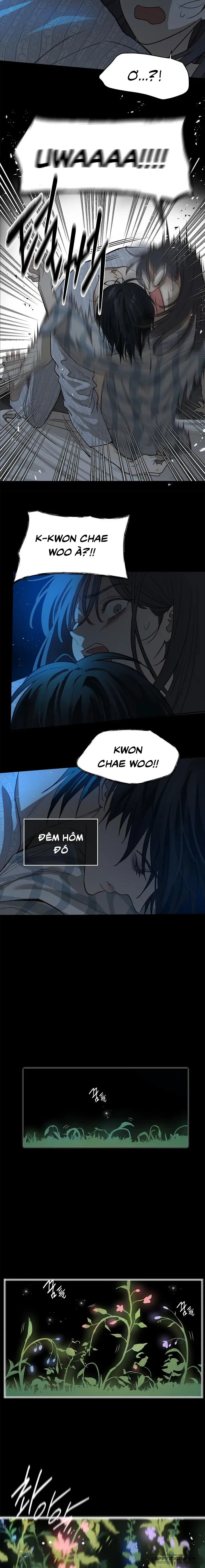 Đóa Hoa Là Mồi Nhử Chapter 4 - 10