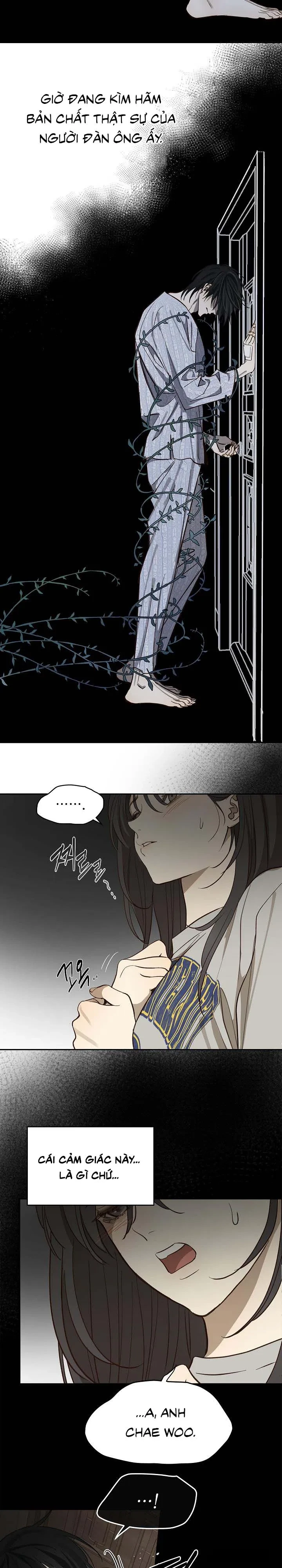 Đóa Hoa Là Mồi Nhử Chapter 8 - 18
