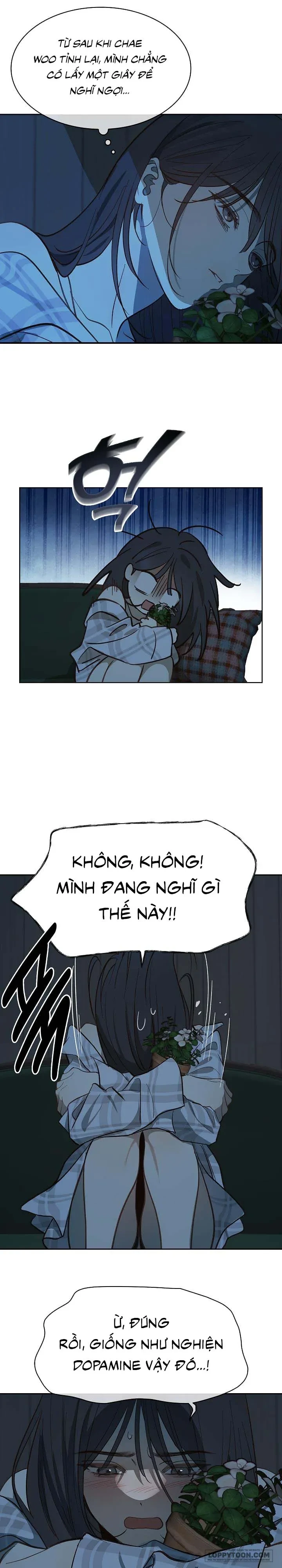 Đóa Hoa Là Mồi Nhử Chapter 9 - 19