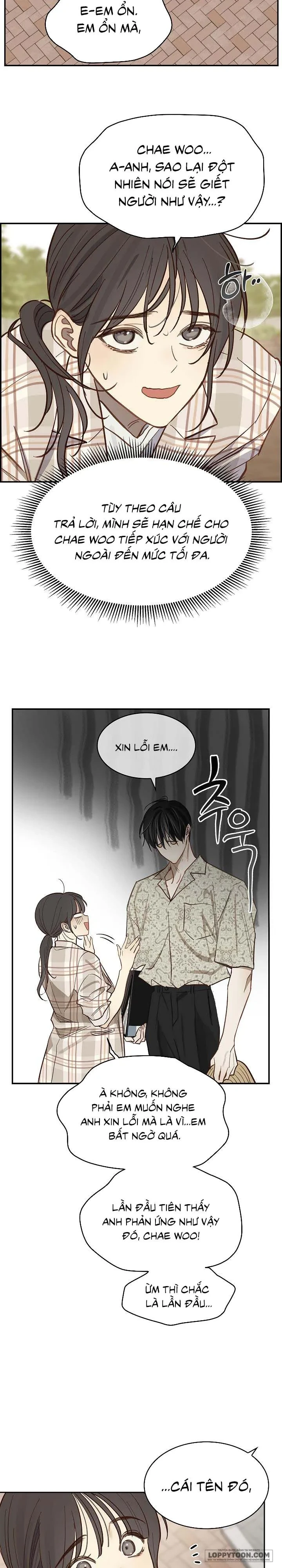 Đóa Hoa Là Mồi Nhử Chapter 12 - 16