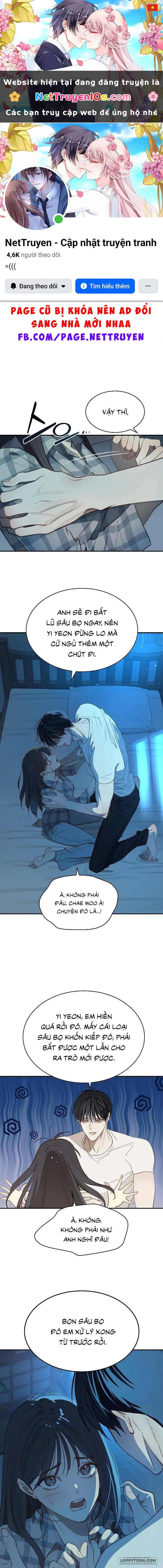 Đóa Hoa Là Mồi Nhử Chapter 17 - 1
