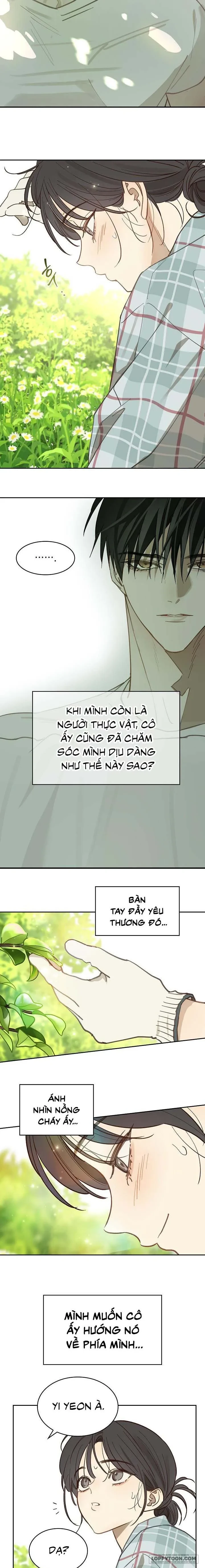 Đóa Hoa Là Mồi Nhử Chapter 18 - 12