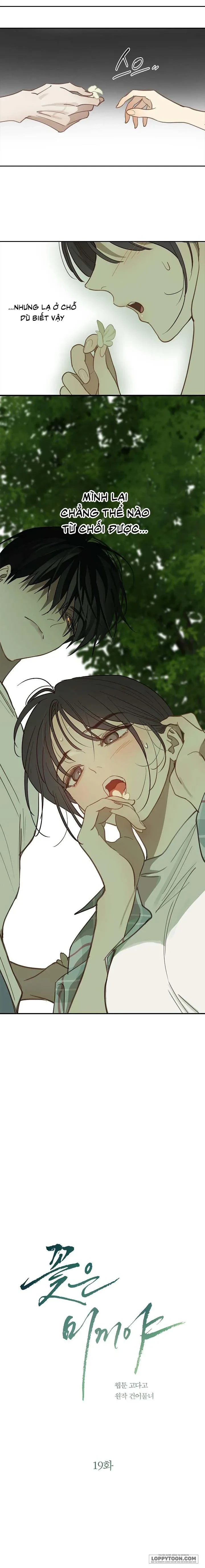 Đóa Hoa Là Mồi Nhử Chapter 19 - 2
