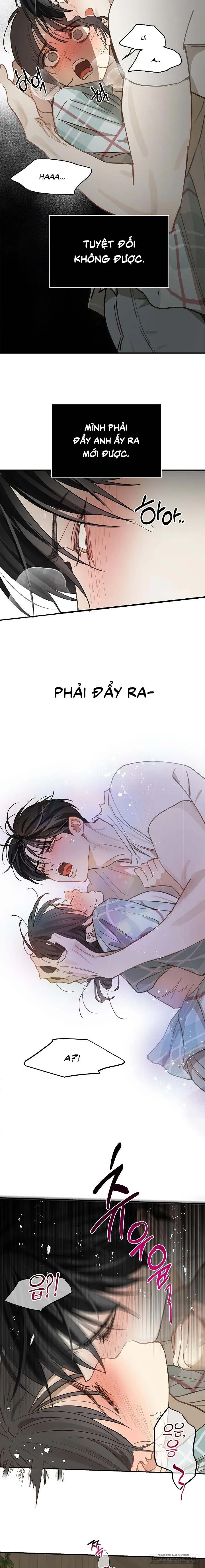 Đóa Hoa Là Mồi Nhử Chapter 19 - 11