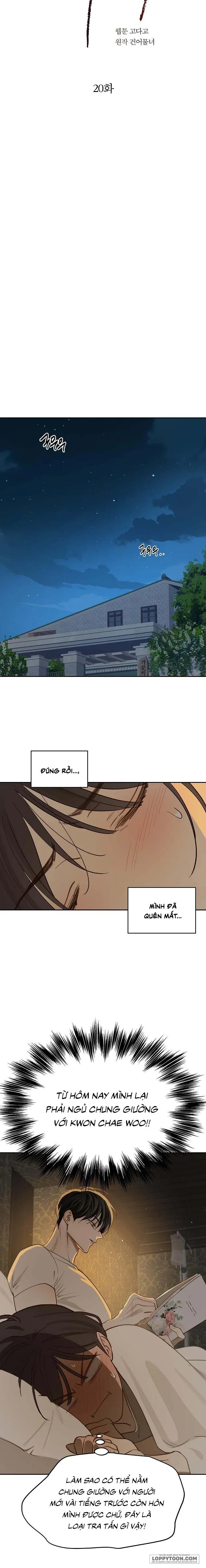 Đóa Hoa Là Mồi Nhử Chapter 20 - 9