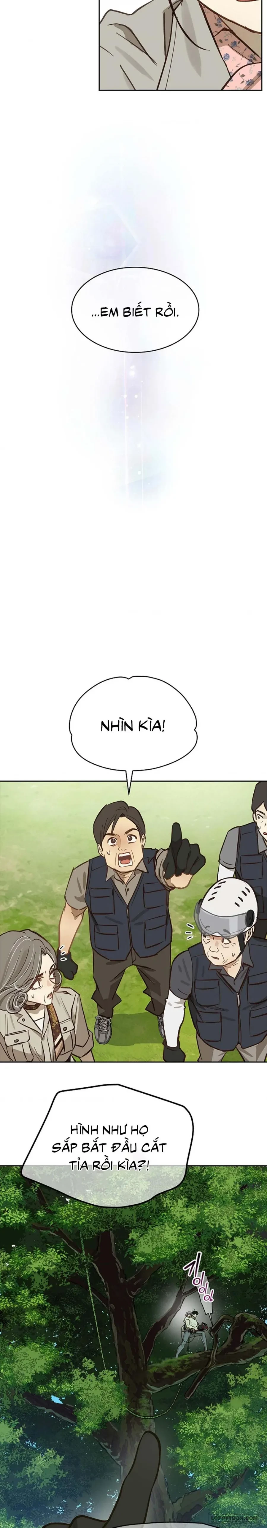 Đóa Hoa Là Mồi Nhử Chapter 22 - 15