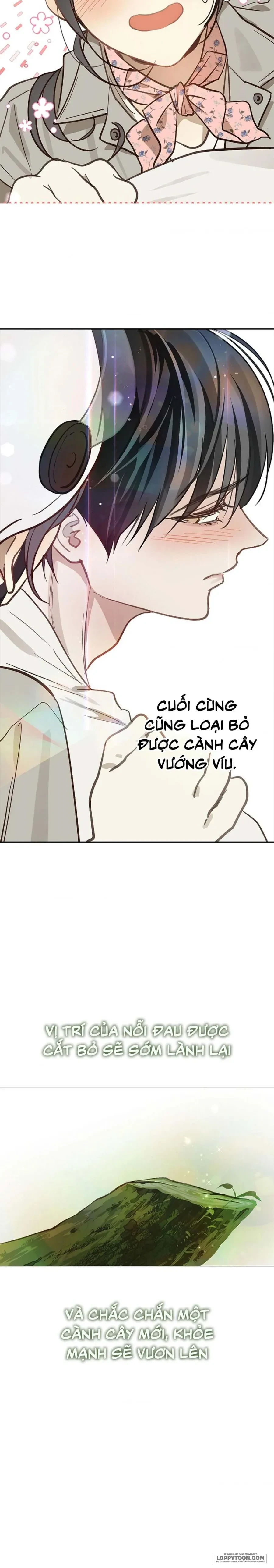Đóa Hoa Là Mồi Nhử Chapter 22 - 24
