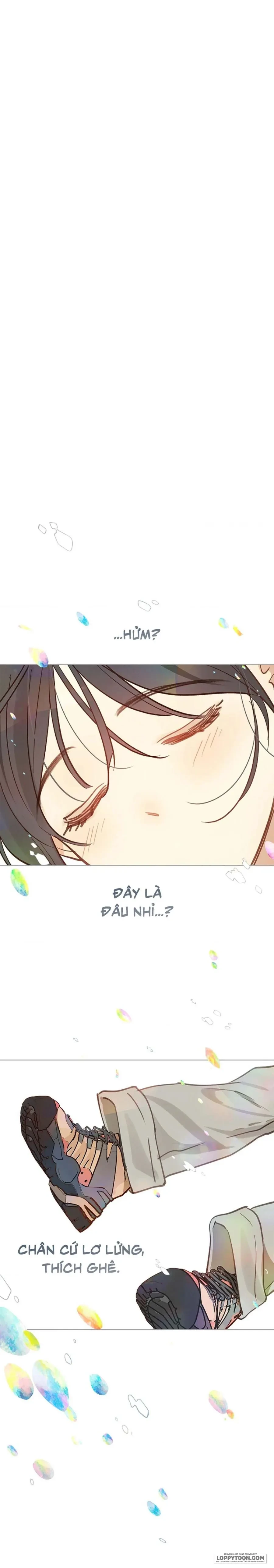 Đóa Hoa Là Mồi Nhử Chapter 23 - 6