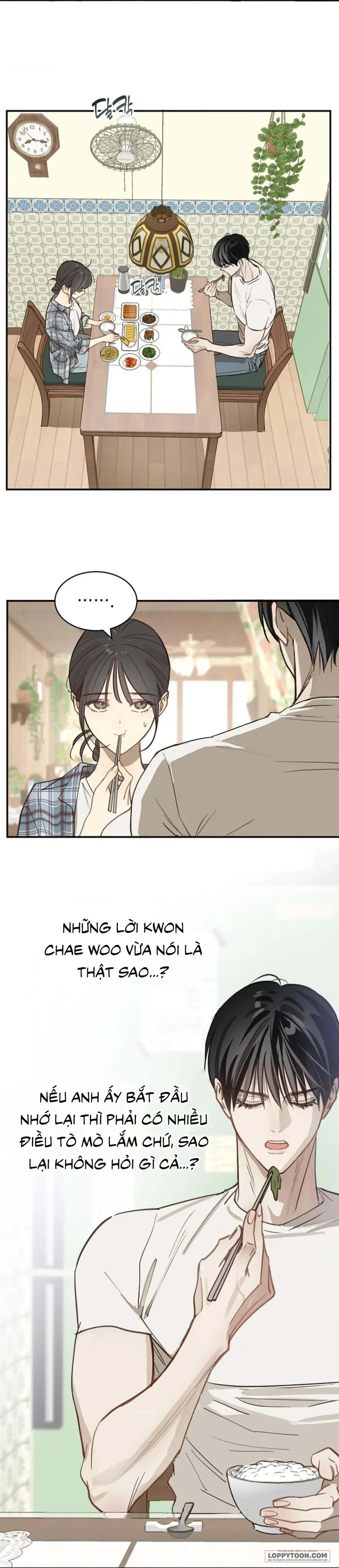 Đóa Hoa Là Mồi Nhử Chapter 24 - 11