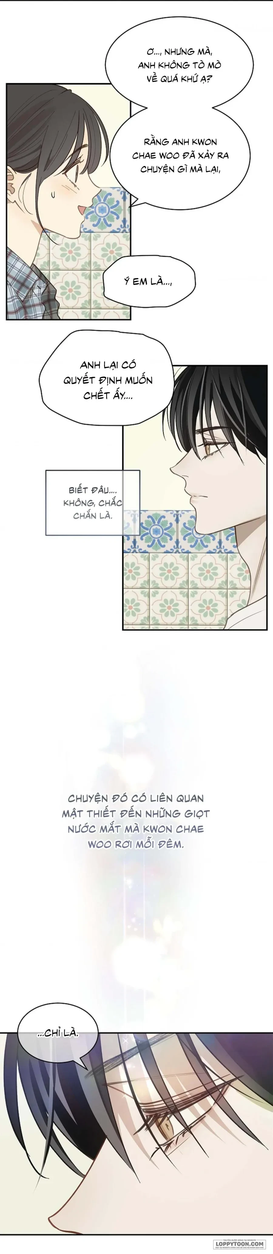 Đóa Hoa Là Mồi Nhử Chapter 24 - 13
