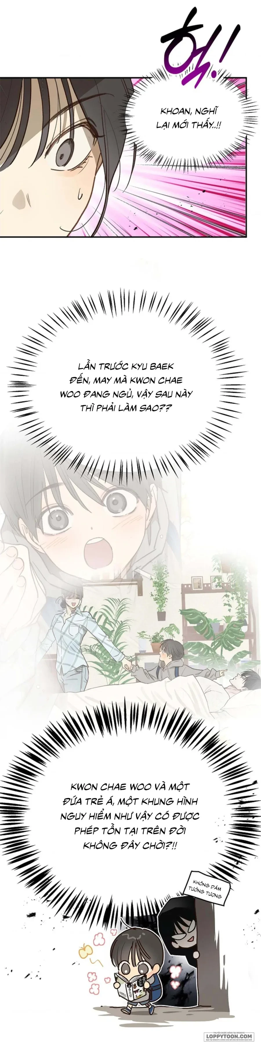 Đóa Hoa Là Mồi Nhử Chapter 24 - 22
