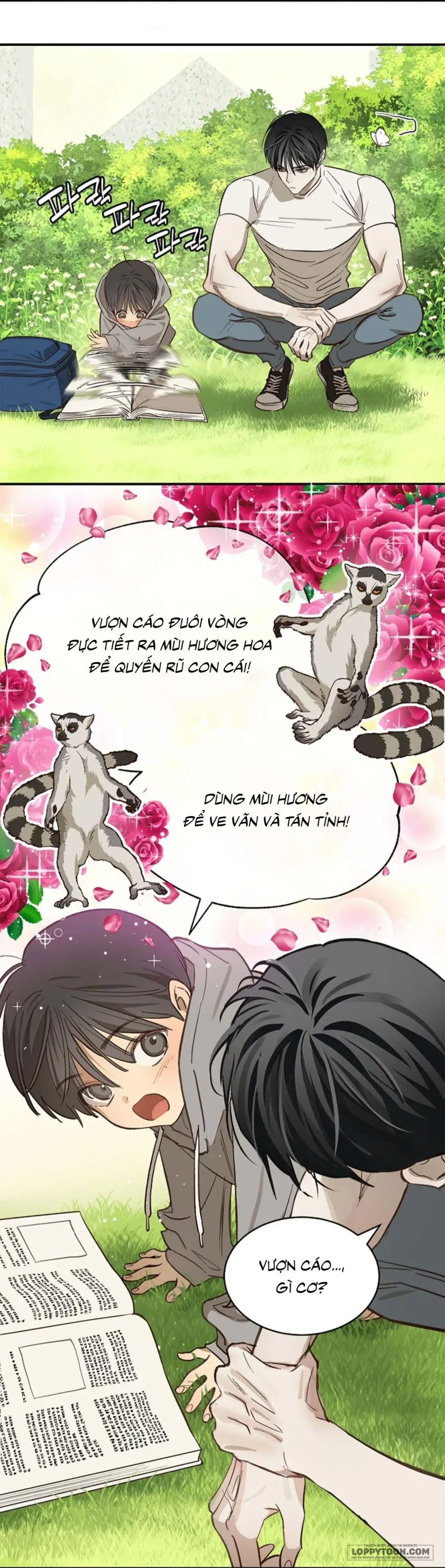 Đóa Hoa Là Mồi Nhử Chapter 25 - 5