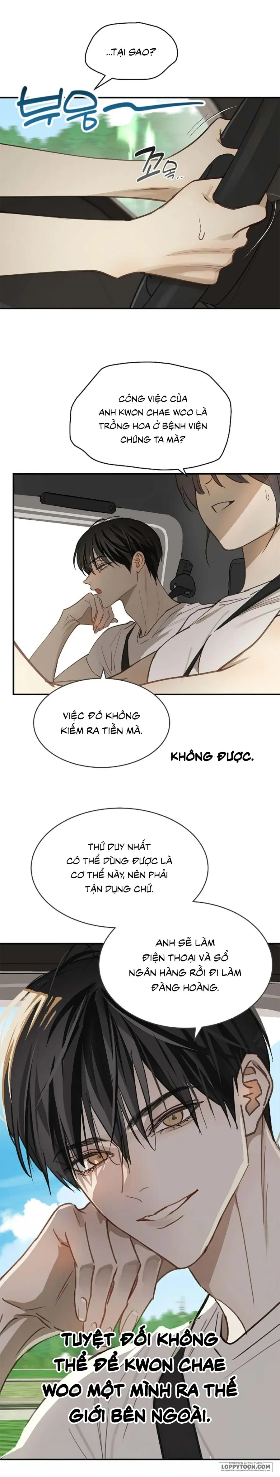 Đóa Hoa Là Mồi Nhử Chapter 25 - 30