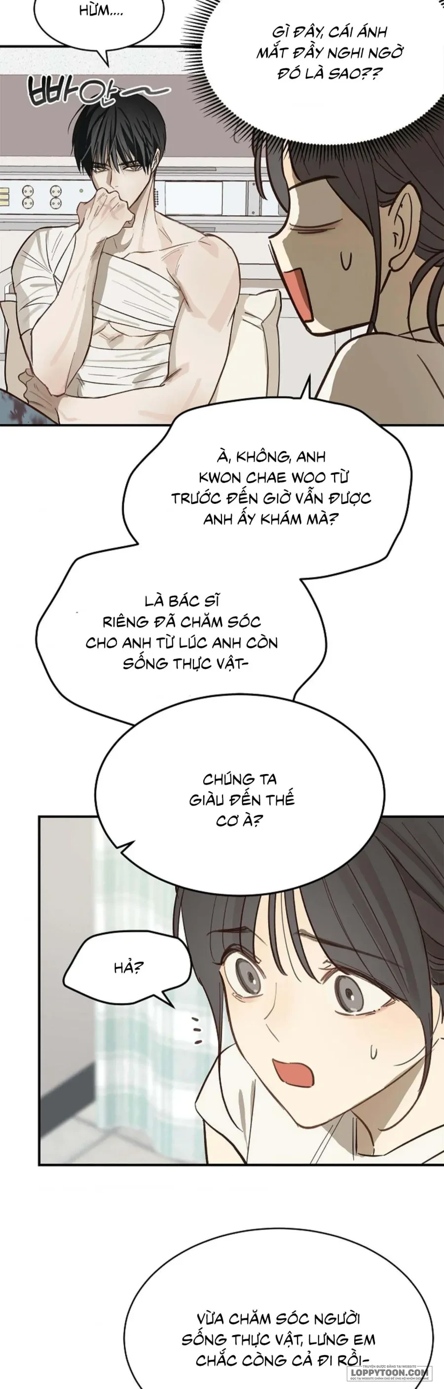 Đóa Hoa Là Mồi Nhử Chapter 27 - 46