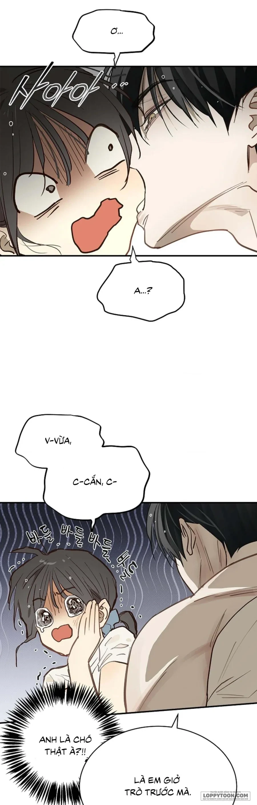 Đóa Hoa Là Mồi Nhử Chapter 29 - 34
