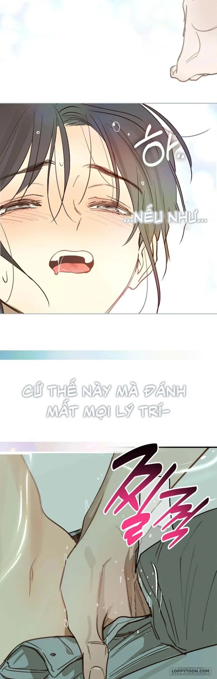 Đóa Hoa Là Mồi Nhử Chapter 30 - 27
