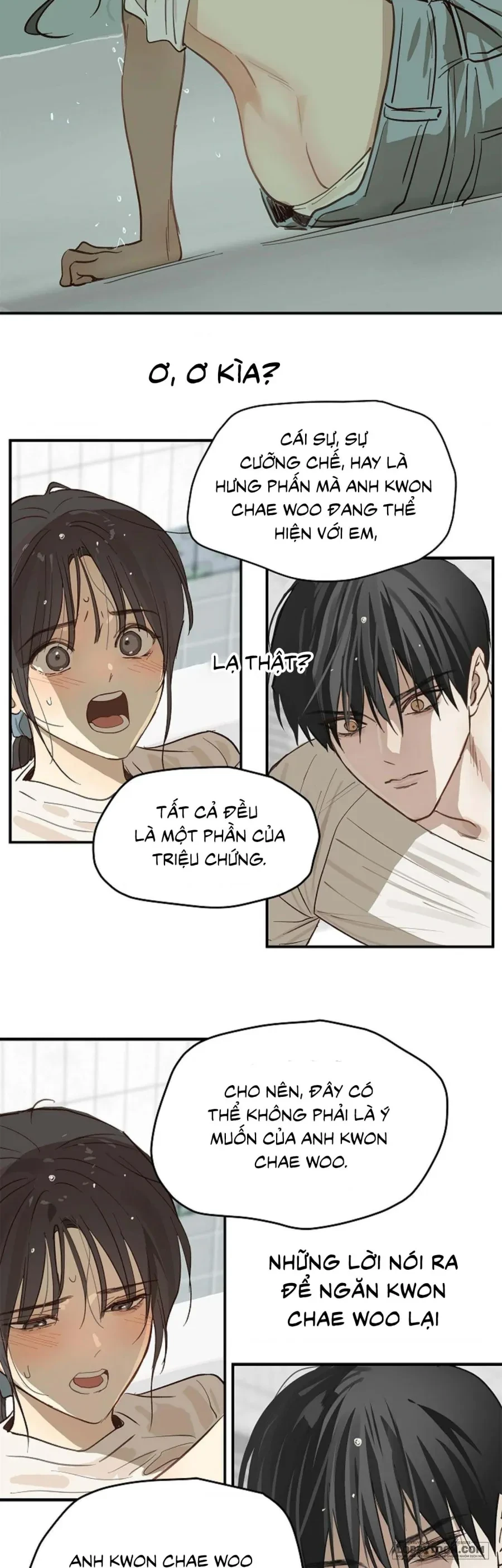 Đóa Hoa Là Mồi Nhử Chapter 30 - 38