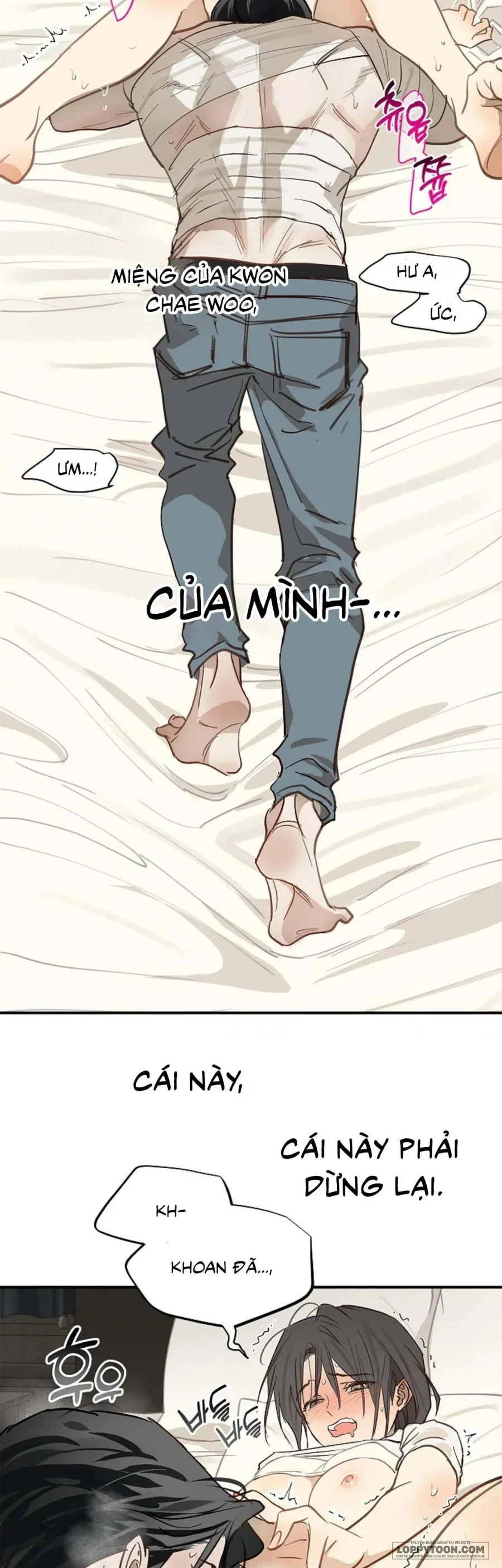 Đóa Hoa Là Mồi Nhử Chapter 31 - 14