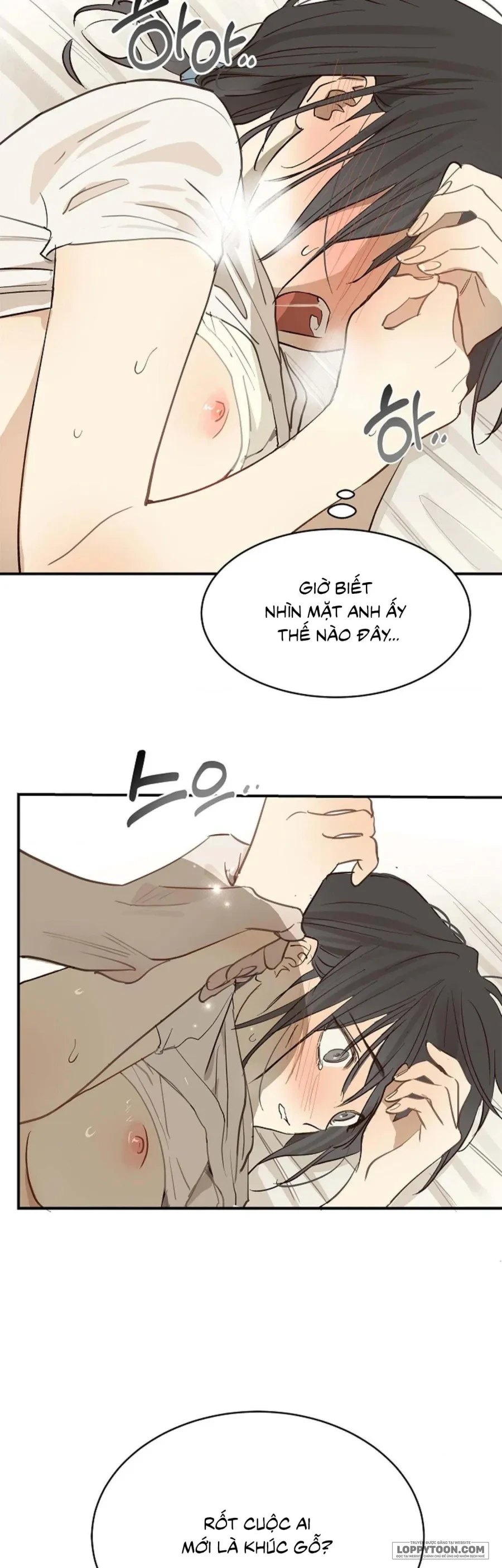 Đóa Hoa Là Mồi Nhử Chapter 31 - 27