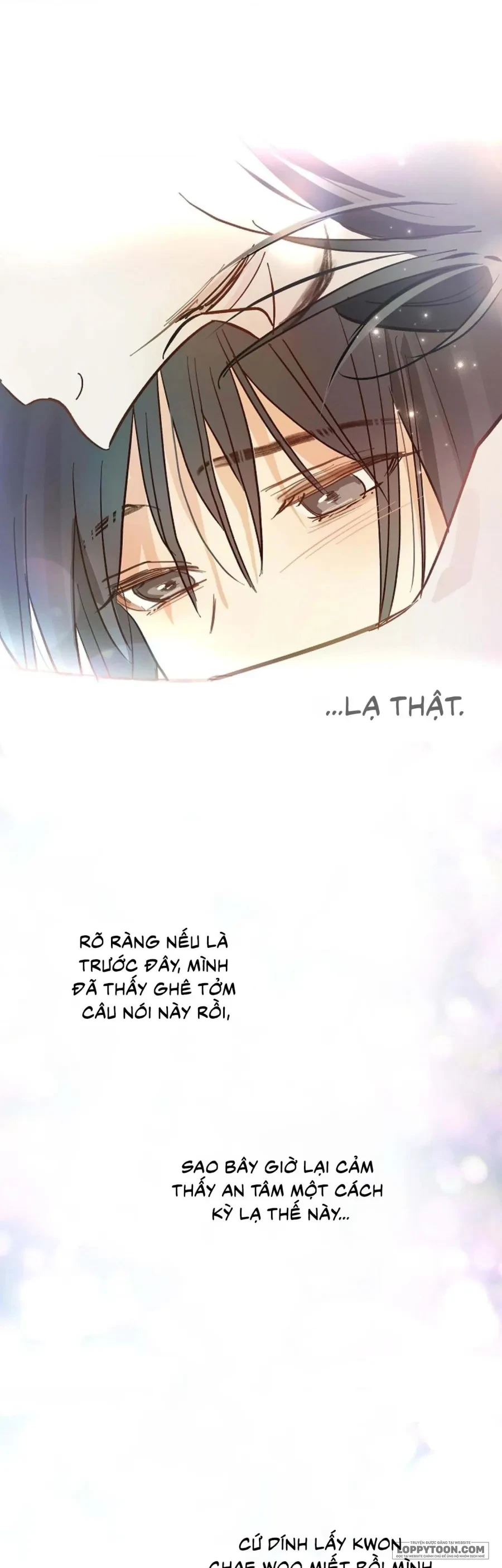 Đóa Hoa Là Mồi Nhử Chapter 31 - 45