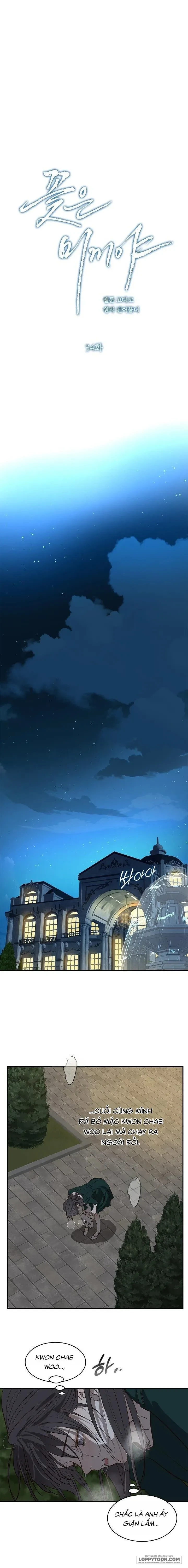 Đóa Hoa Là Mồi Nhử Chapter 34 - 17