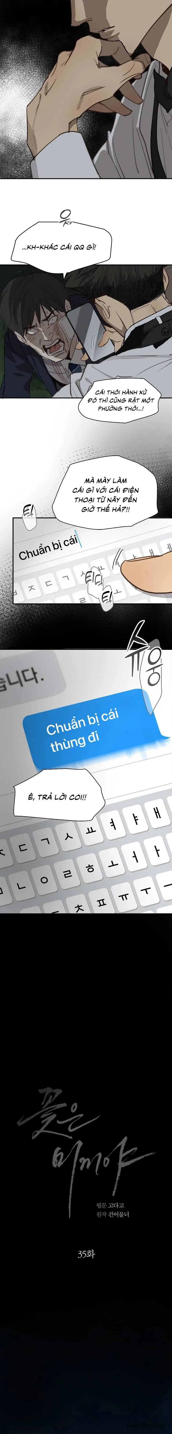 Đóa Hoa Là Mồi Nhử Chapter 35 - 17