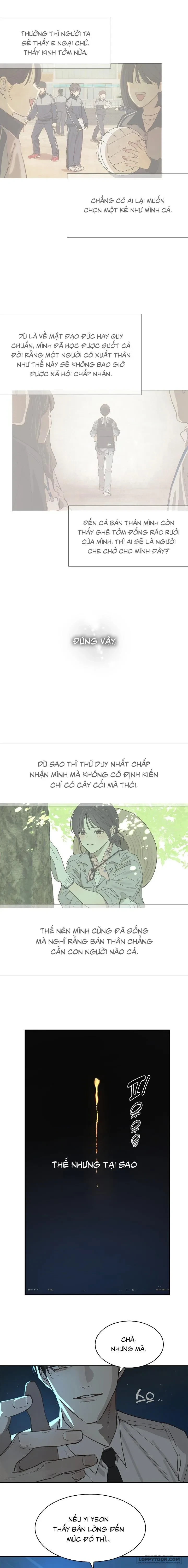 Đóa Hoa Là Mồi Nhử Chapter 36 - 6