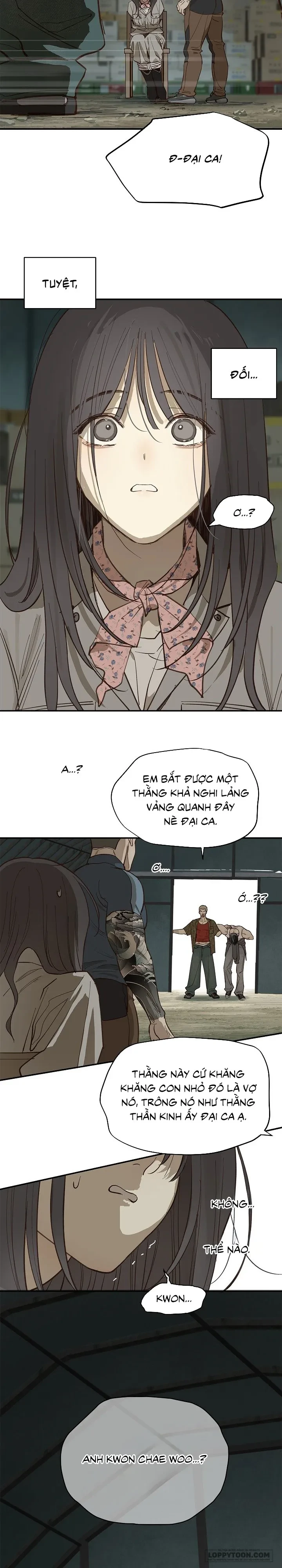 Đóa Hoa Là Mồi Nhử Chapter 41 - 8