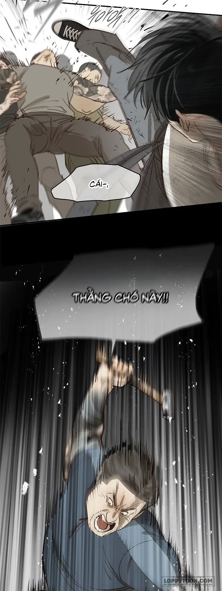 Đóa Hoa Là Mồi Nhử Chapter 41 - 24