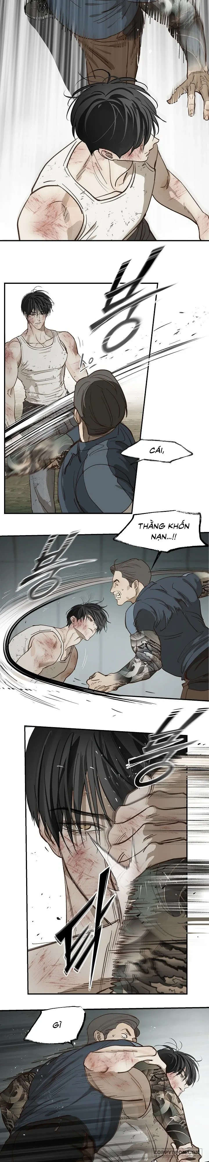 Đóa Hoa Là Mồi Nhử Chapter 41 - 25