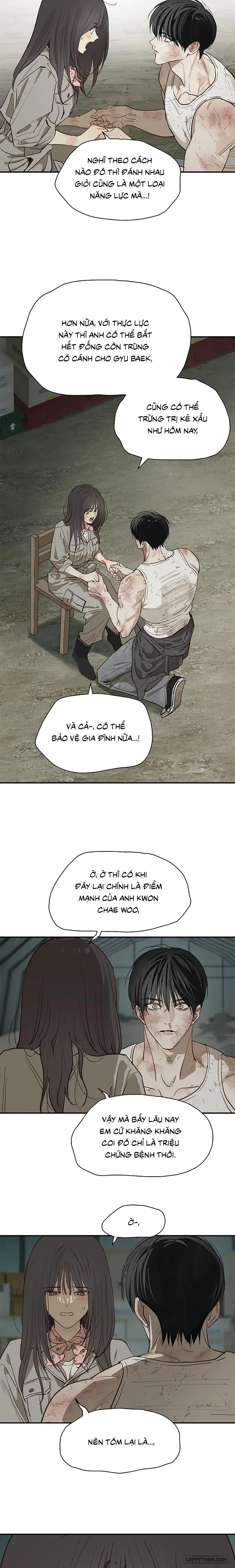 Đóa Hoa Là Mồi Nhử Chapter 42 - 3